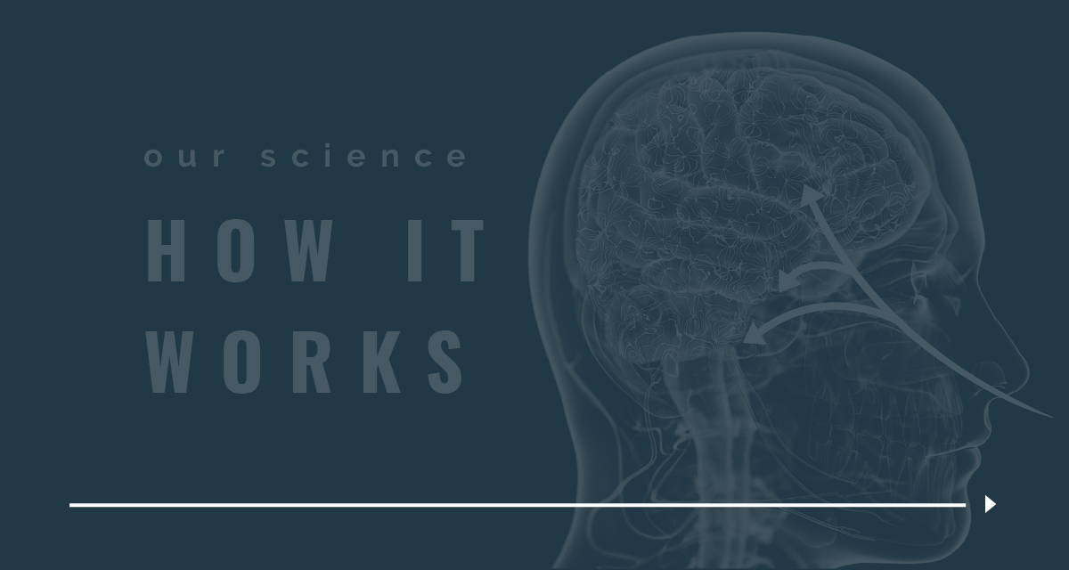 How it Works Image of Brain